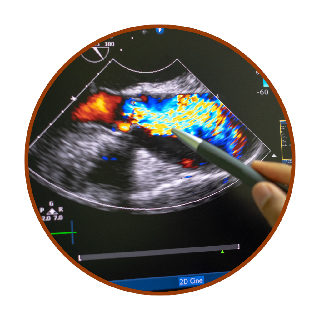 clínica santana caicó seridó rio grande do norte